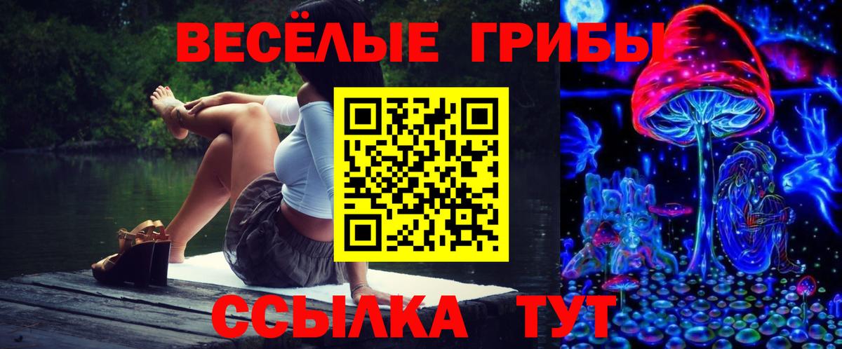 Галлюциногенные грибы мухоморы  Вход с VPN  Кохма 